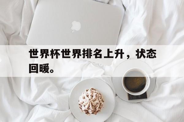 万博max官网-世界杯世界排名上升，状态回暖。