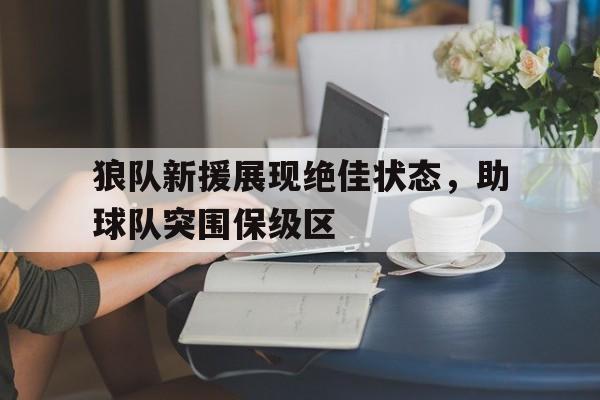 万博manbetx体育-狼队新援展现绝佳状态，助球队突围保级区